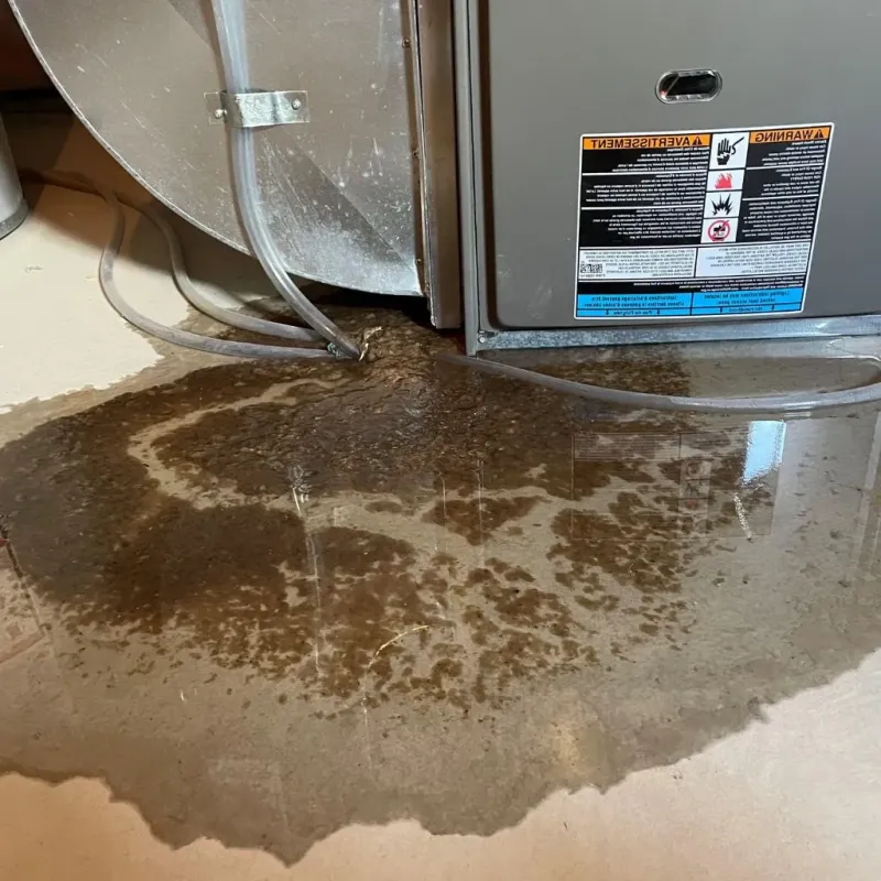 Pipe Burst and Leak Restoration in Farm Loop, AK
