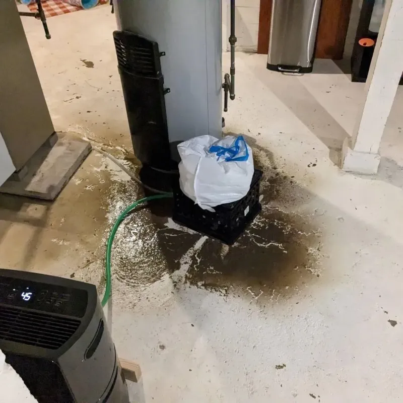 Sewage Backup Cleanup Service in Farm Loop, AK